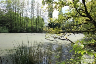 Land van Ooit 7 jaar later